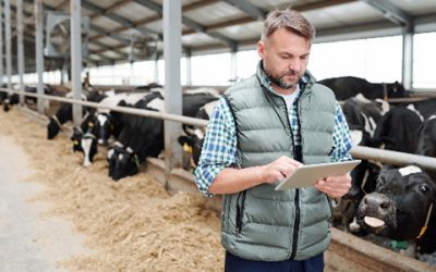 Gestão: investimento prioritário na fazenda