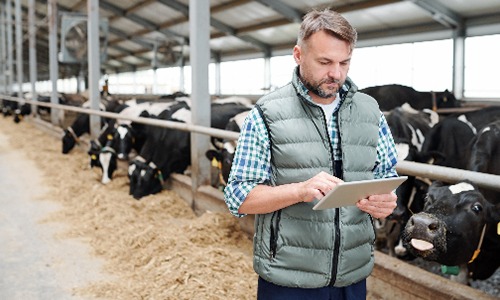Gestão: investimento prioritário na fazenda