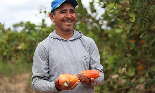 Médios produtores terão acesso facilitado com convênio firmado entre ABCZ e Asbraer