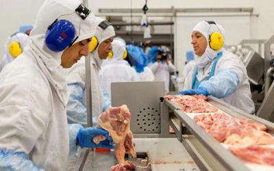 Senadores demonstram preocupação com efeitos da “Carne Fraca”