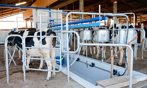 Governo do Rio Grande do Sul prevê aumento de 2% na produção de leite