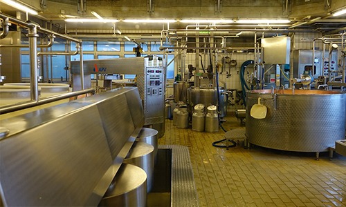 Sistema Integrado de Gestão atua também na Indústria de laticínios