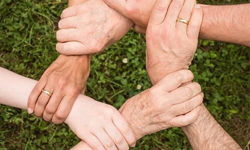 Por que vale a pena ter um sistema ERP para cooperativas?