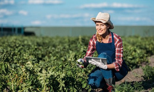 A importância do sistema ERP para o agronegócio A importância do sistema ERP para o agronegócio