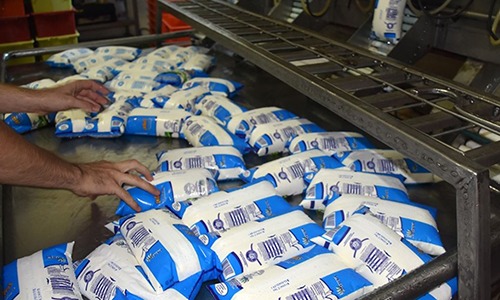 O panorama da indústria do leite no primeiro trimestre de 2019