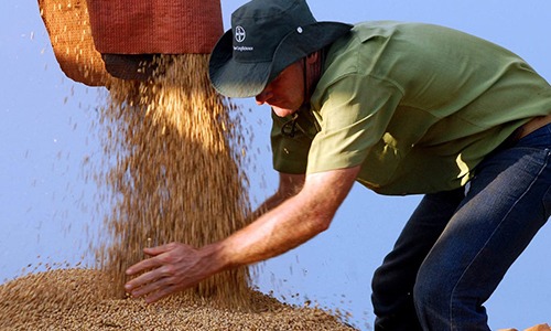 A prestação de contas ﬁscais do produtor rural