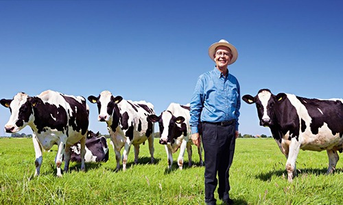 Como aumentar a produtividade de uma fazenda produtora de leite