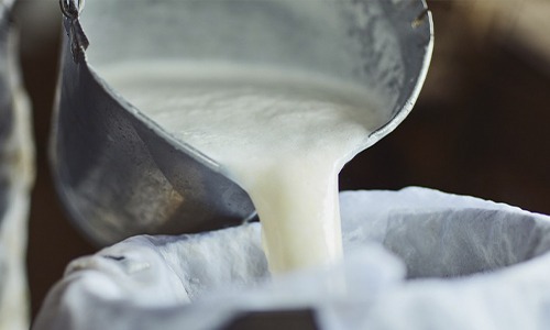 Coronavírus: maior procura nos supermercados aumenta preço do leite e derivados