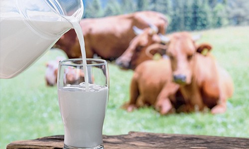 Preço do leite sobe 1,4% em março com concorrência por matéria-prima