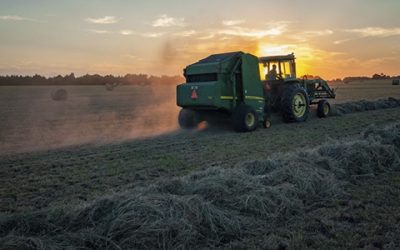 Agronegócio: conheça 6 tecnologias que impactam a área