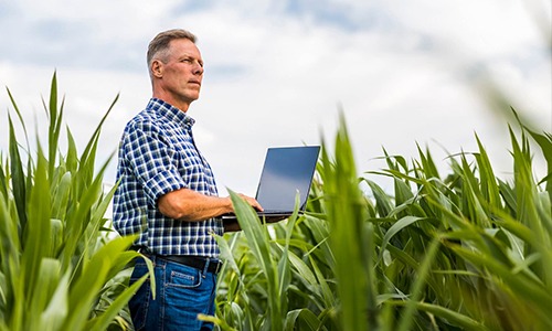 3 motivos pelos quais você deve investir em ERP para gestão de fazendas