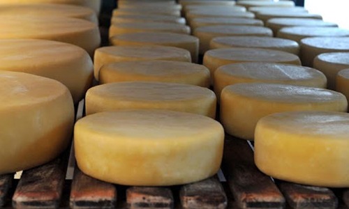 Emater/MG orienta produtores de leite e queijo sobre como amenizar impactos da pandemia