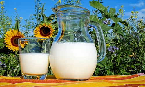 Mercado lácteo: Quais são as previsões para o segundo semestre?