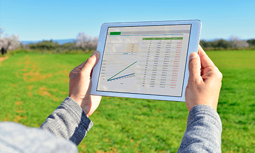 5 dicas sobre gestão financeira de fazendas