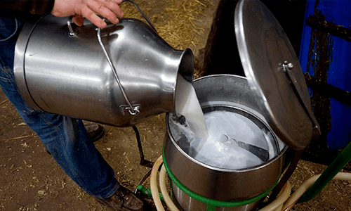 Demanda global por lácteos pode cair até 30% no 2º trimestre