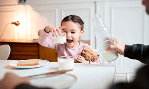 Integração da cadeia pode alavancar lácteos