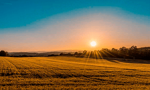 Cadastro vai reconhecer empresas comprometidas com ética e integridade no agro