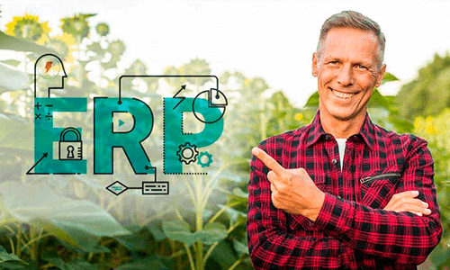 Como um software ERP pode te ajudar na tomada de decisão na gestão agrícola?