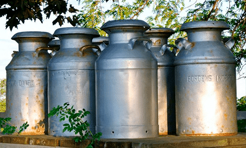 Preço do leite sobe quase 10% em junho: veja a tendência para julho