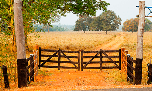 Começa hoje prazo para entrega da declaração de propriedade rural