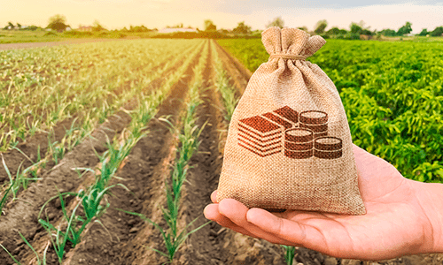 O ERP agronegócio é fundamental para gestão de fazendas