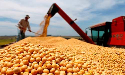Custo ao produtor deve cair com suspensão de tarifa de importação de soja e milho