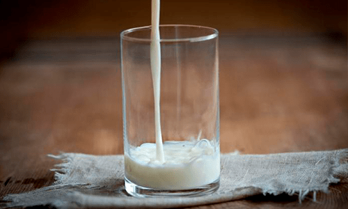 Leite – preços caindo em outubro e alta dos custos acendem alerta