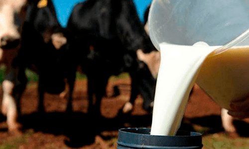 Leite: volume importado em outubro deve ser o maior dos últimos 13 anos