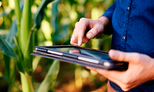 Transformação Digital No Agronegócio Magistech Sistemas 7940