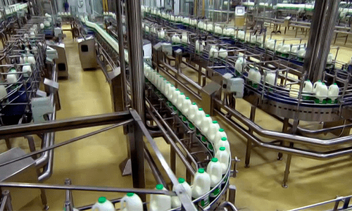 Perspectivas da exportação de lácteos em 2021