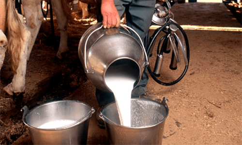Aquisição de leite tem alta de 2,6% entre julho e setembro
