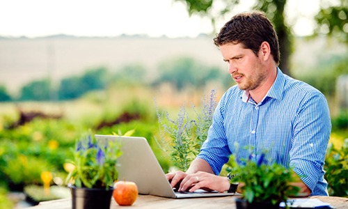 Tecnologia melhora gestão de pequenos negócios do agro Tecnologia melhora gestão de pequenos negócios do agro