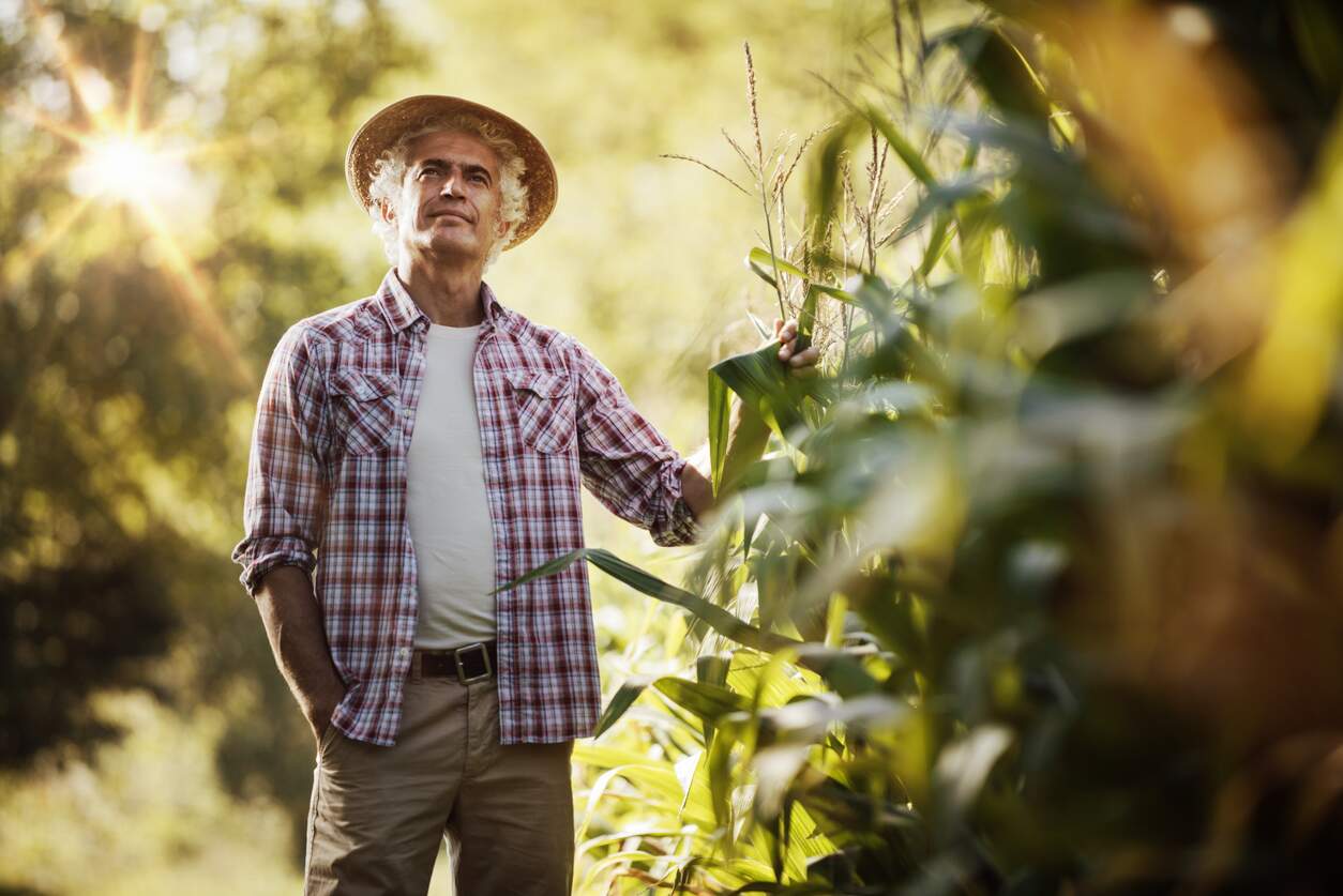 iStock-498885912demaerre iStock-498885912demaerre