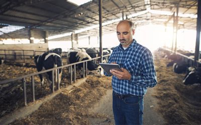 Boletim CILeite: Indicadores leite e derivados, balança comercial e preços internacionais – Janeiro / 2022