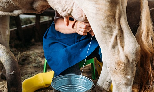 Do produto para trás: por que apostar na rastreabilidade?