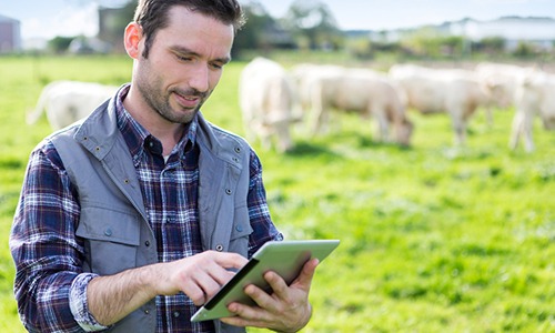 Erros mais comuns na gestão do agronegócio e como evitá-los
