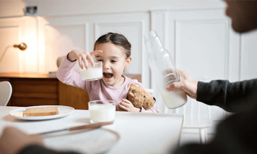 Lácteos: canais de distribuição pressionam e cotações dos derivados recuam em julho