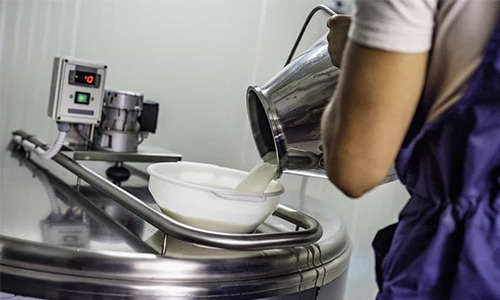 MAPA estabelece critérios para destinação de leite e derivados que descumprem padrões