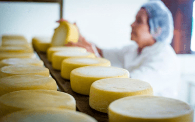 Mercados de lácteos globais estão oscilando em níveis não vistos desde 2014