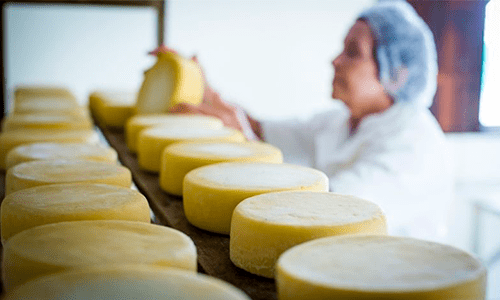 Mercados de lácteos globais estão oscilando em níveis não vistos desde 2014