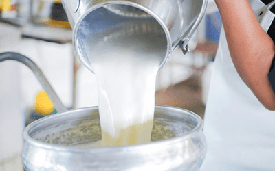 CILeite: Nota de Conjuntura – Mercado de Leite e Derivados Janeiro de 2022