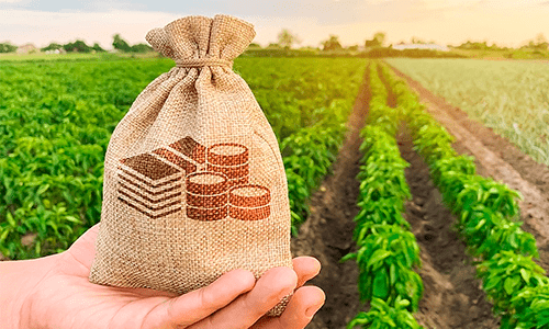 4 impostos obrigatórios na tributação do produtor rural