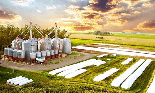 Sistema ERP para agroindústrias: saiba como escolher