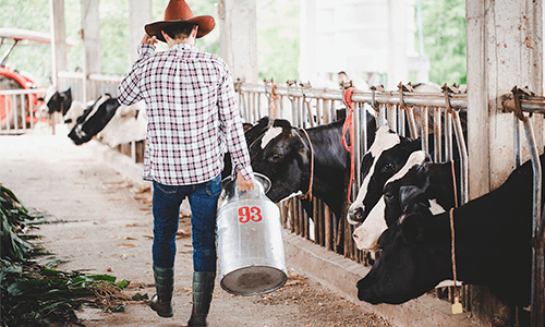 Especialistas analisam mercado internacional de lácteos