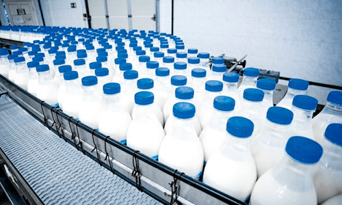 CILeite – Indicadores do mercado de leite em junho