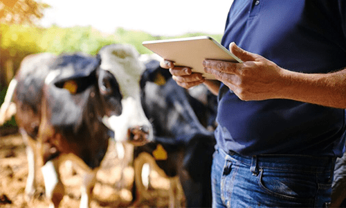 Indicadores Julho 2022 – capa Indicadores Julho 2022 - capa