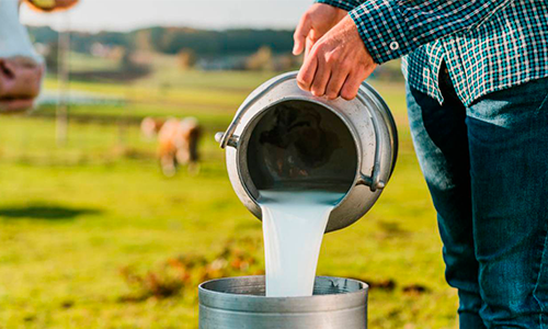 Boletim CILeite – Mercado de Leite e Derivados Outubro / 2022