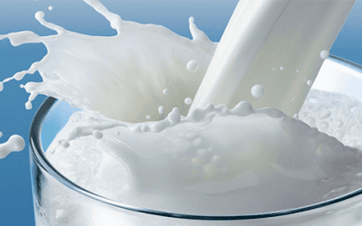CILeite: preços do mercado de leite e derivados em fevereiro 2023