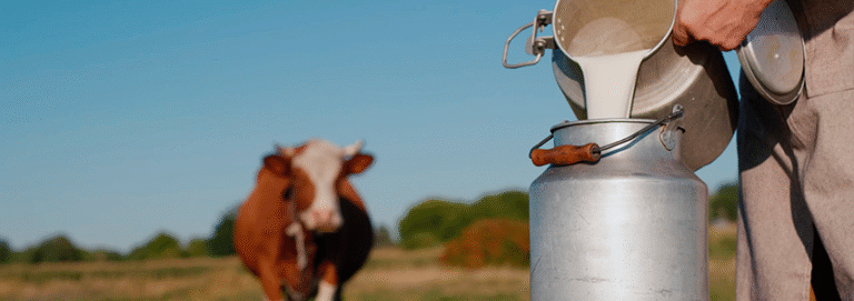 Decreto para isentar indústria que compra leite nacional já saiu do Mapa