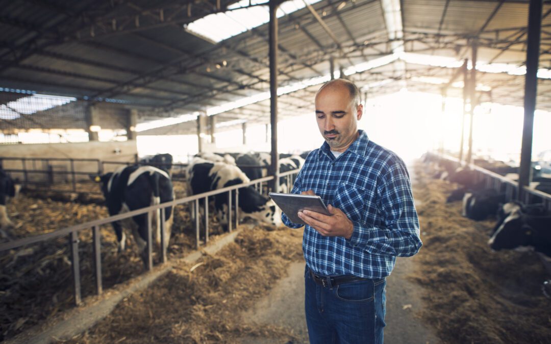 Transformação Digital nas Empresas Lácteas: Modismo ou Necessidade?